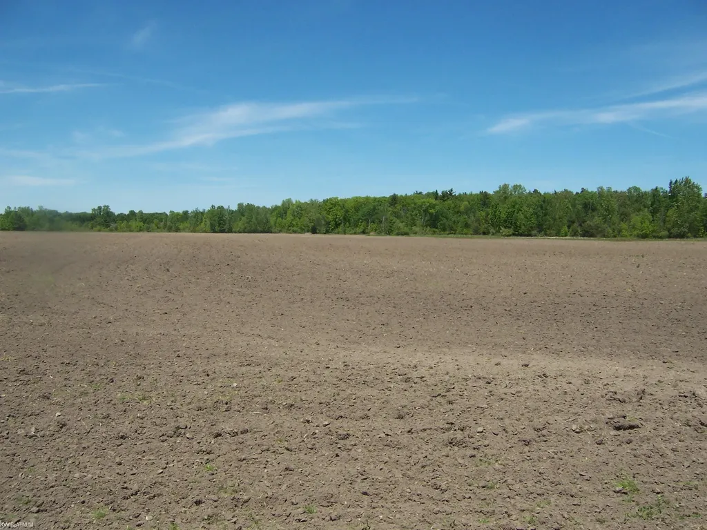 Lot 7 Lapeer Road Kimball Township MI 48074