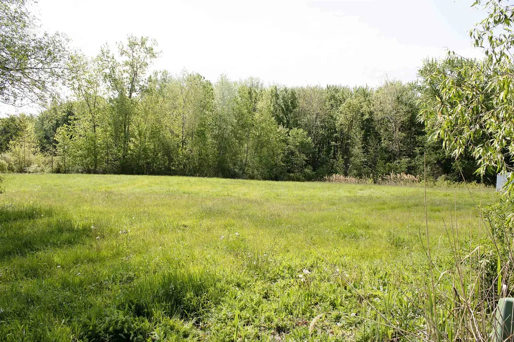 50012 S Angelo Court Chesterfield Township MI 48047