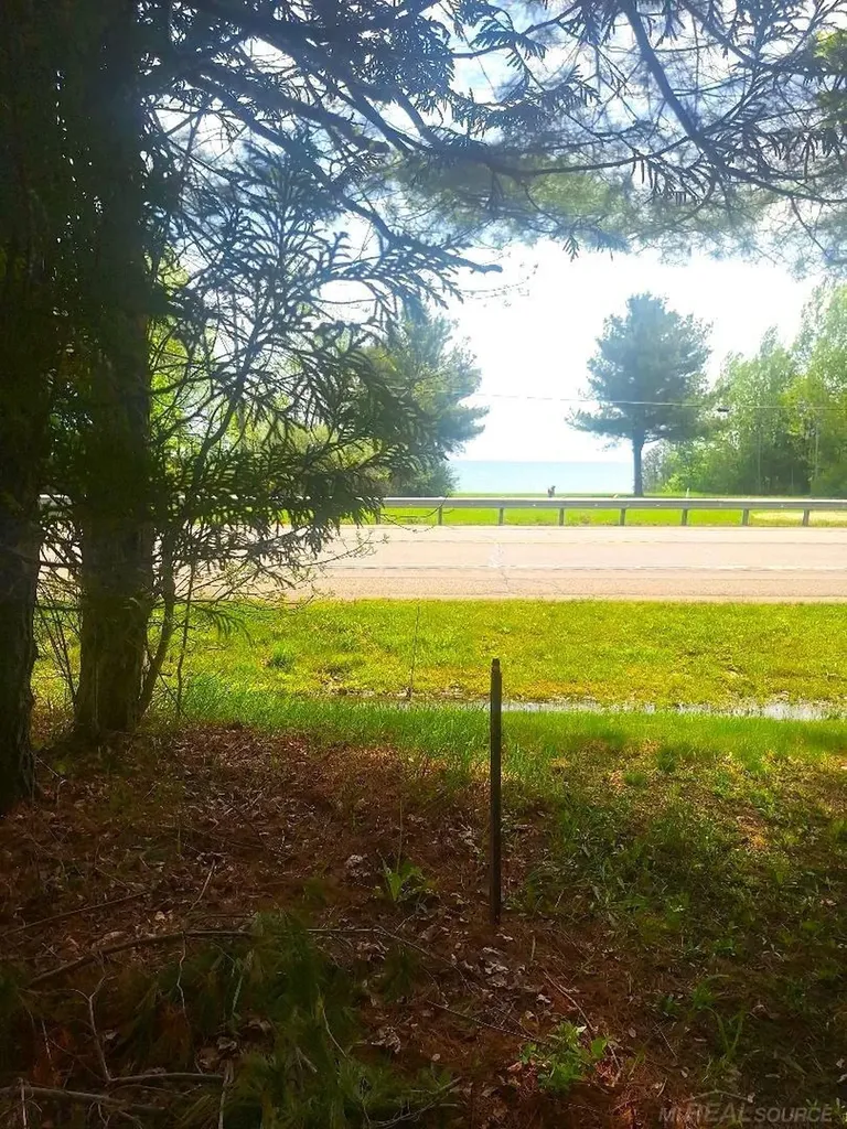 Parcel 2 Lakeshore Road Sanilac Township MI 48401