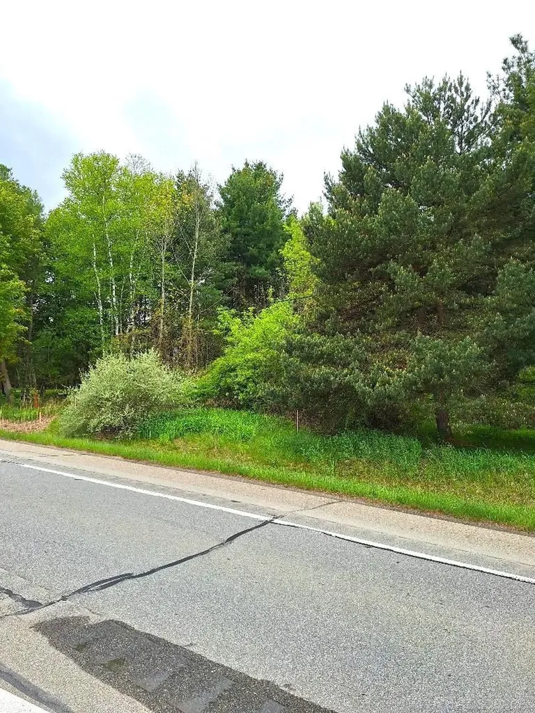 Parcel 2 Lakeshore Road Sanilac Township MI 48401
