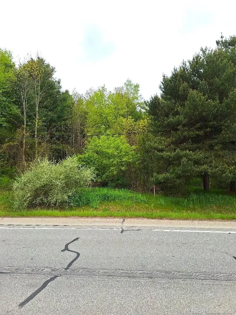 Parcel 2 Lakeshore Road Sanilac Township MI 48401