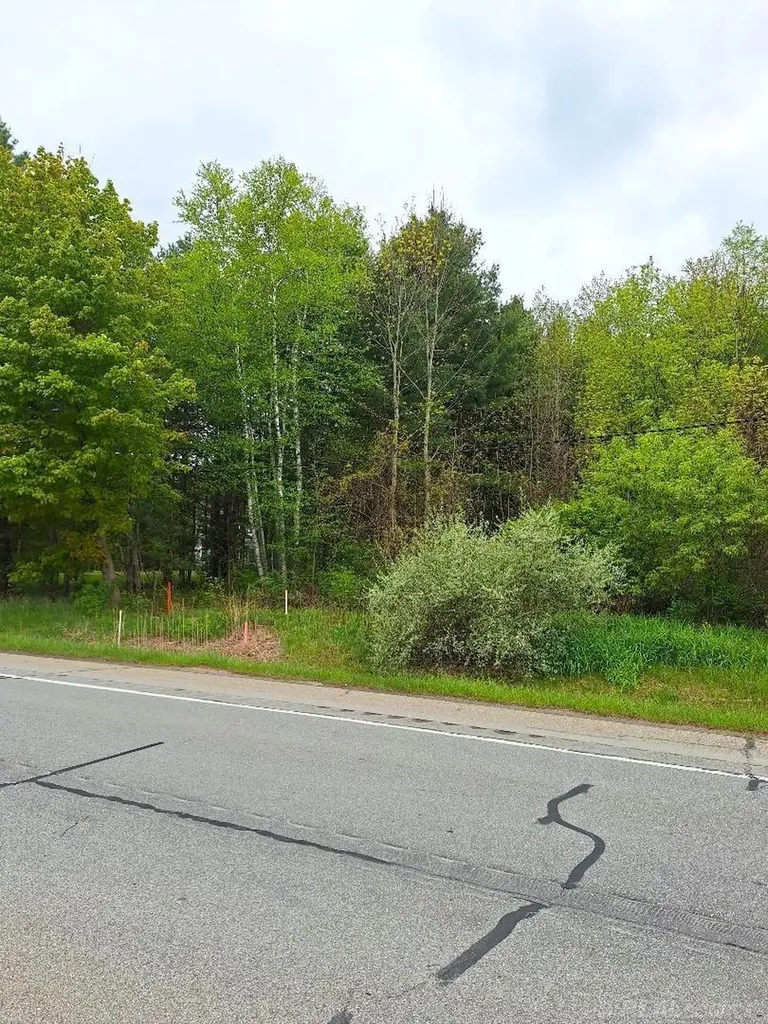Parcel 2 Lakeshore Road Sanilac Township MI 48401