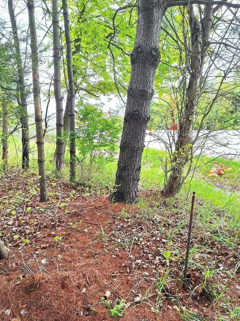 Parcel 2 Lakeshore Road Sanilac Township MI 48401