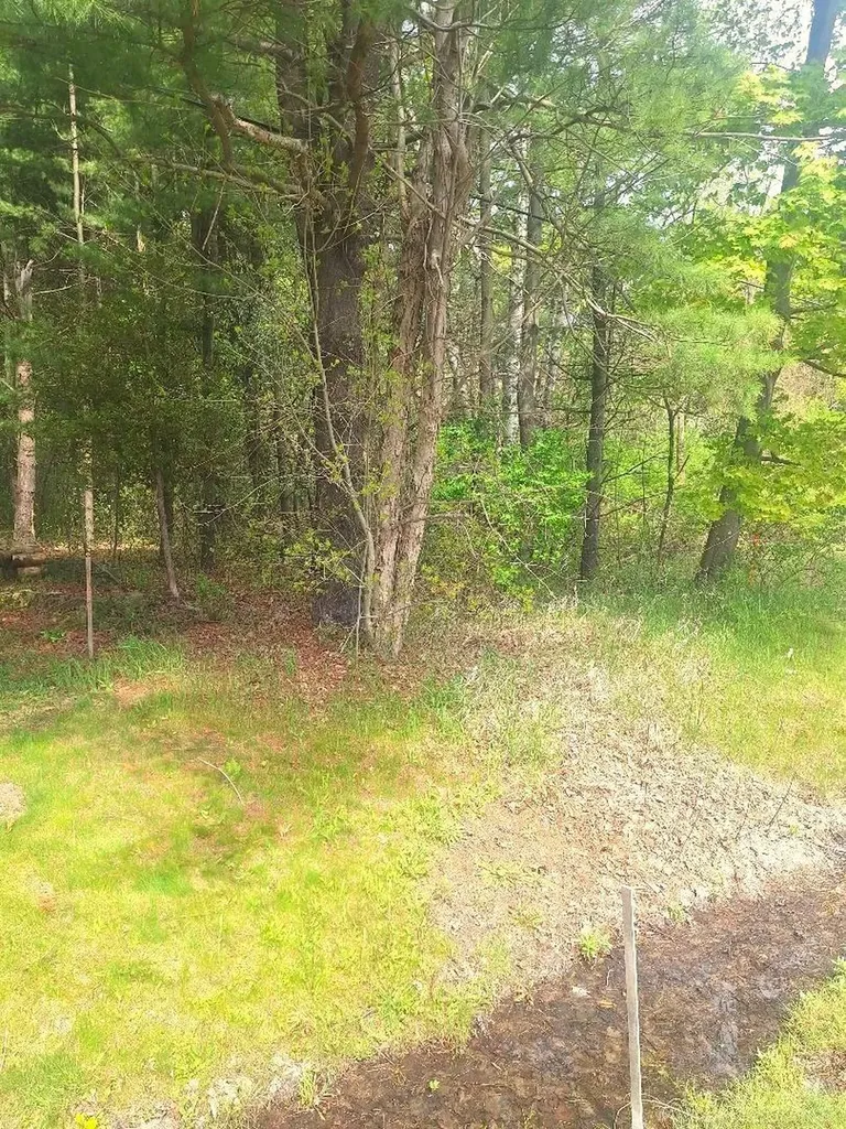 Parcel 2 Lakeshore Road Sanilac Township MI 48401