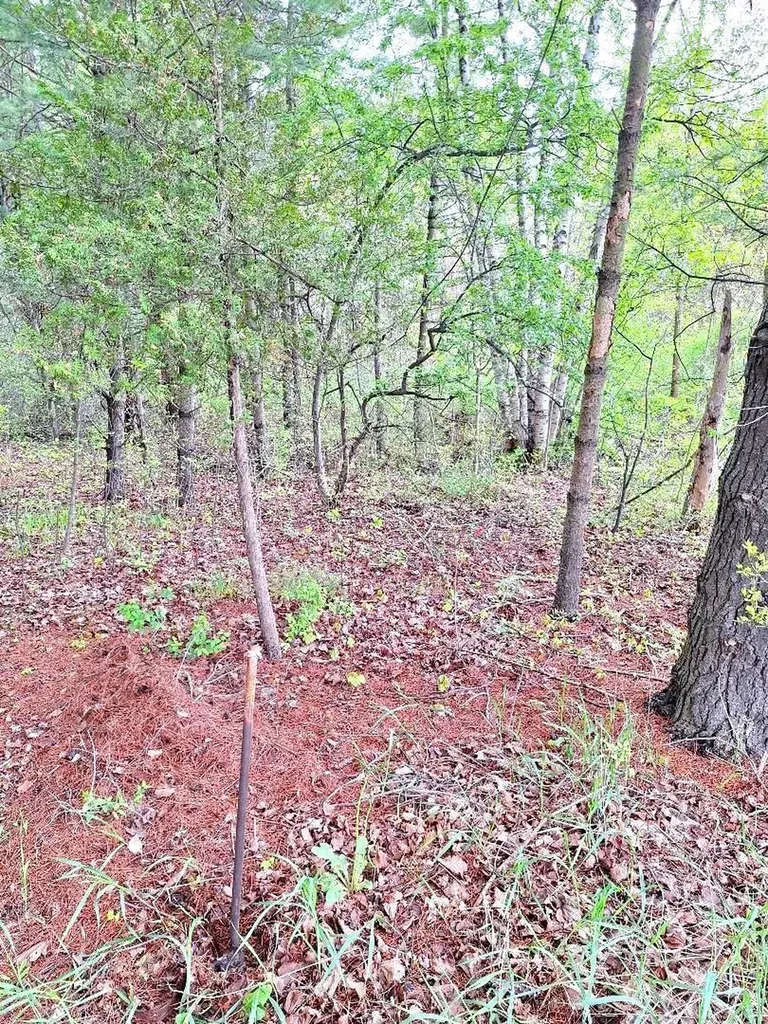 Parcel 2 Lakeshore Road Sanilac Township MI 48401