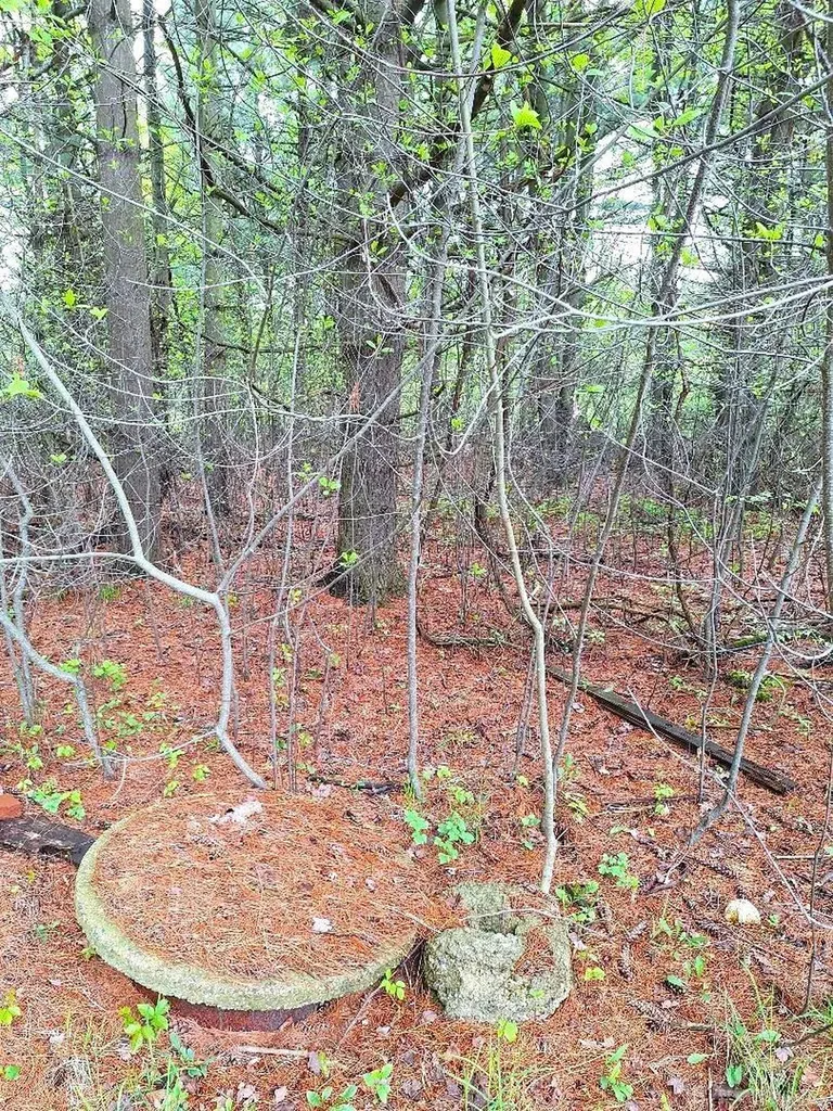 Parcel 2 Lakeshore Road Sanilac Township MI 48401
