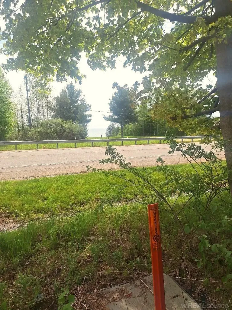 Parcel 2 Lakeshore Road Sanilac Township MI 48401