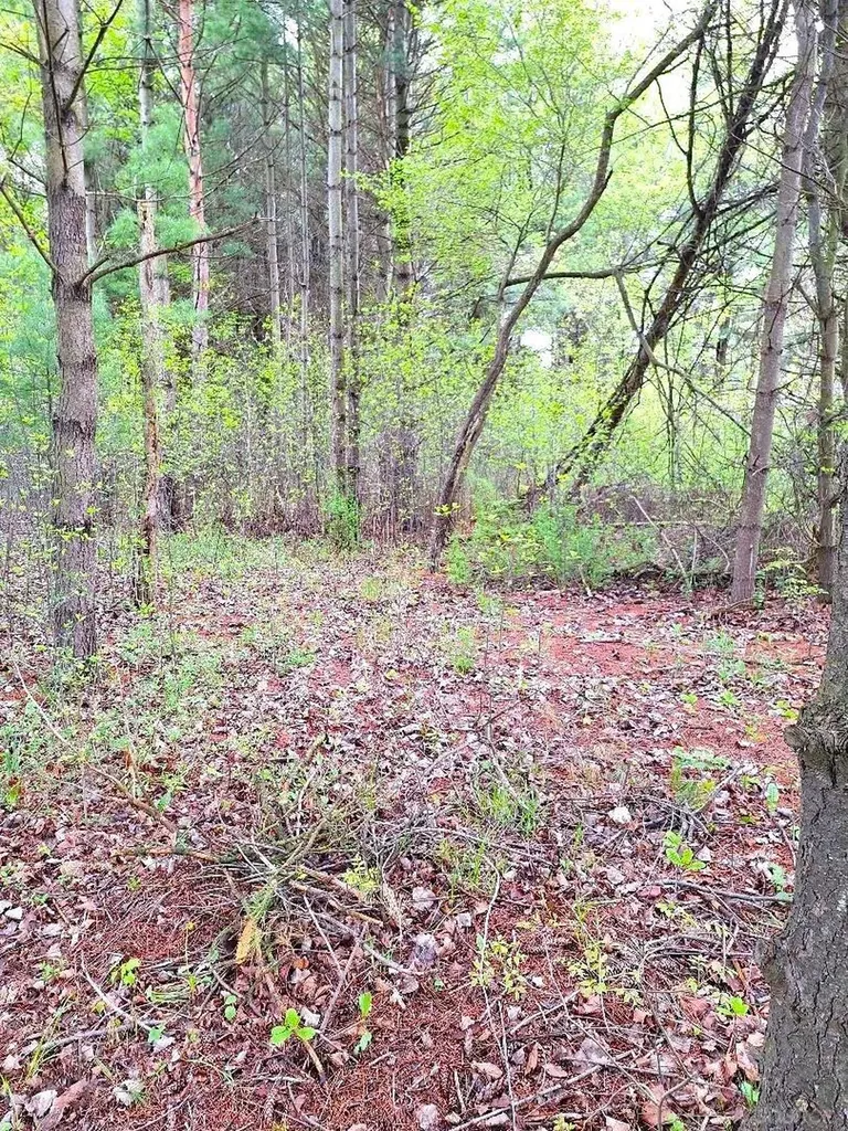 Parcel 2 Lakeshore Road Sanilac Township MI 48401