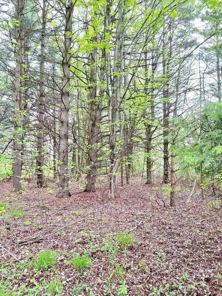 Parcel 2 Lakeshore Road Sanilac Township MI 48401