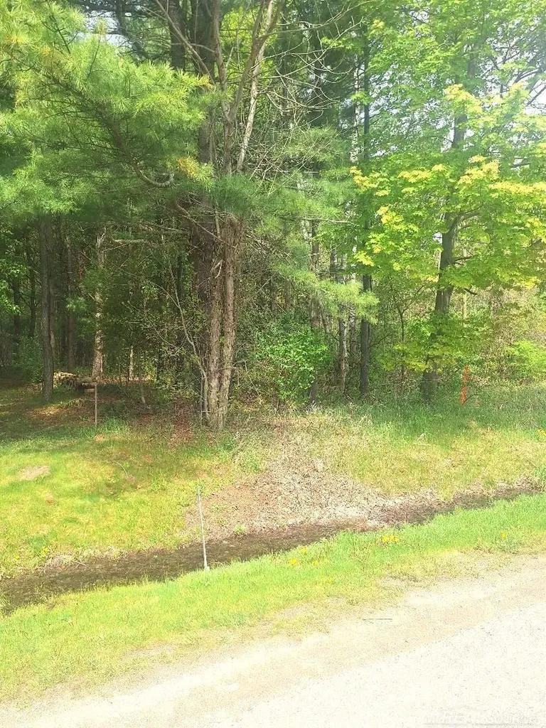 Parcel 2 Lakeshore Road Sanilac Township MI 48401