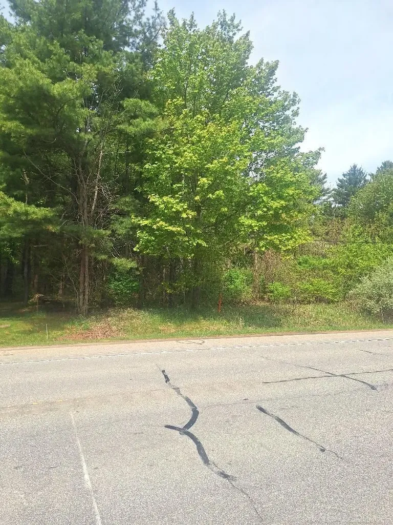 Parcel 2 Lakeshore Road Sanilac Township MI 48401