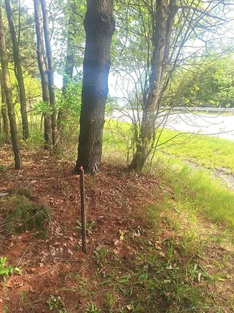 Parcel 2 Lakeshore Road Sanilac Township MI 48401