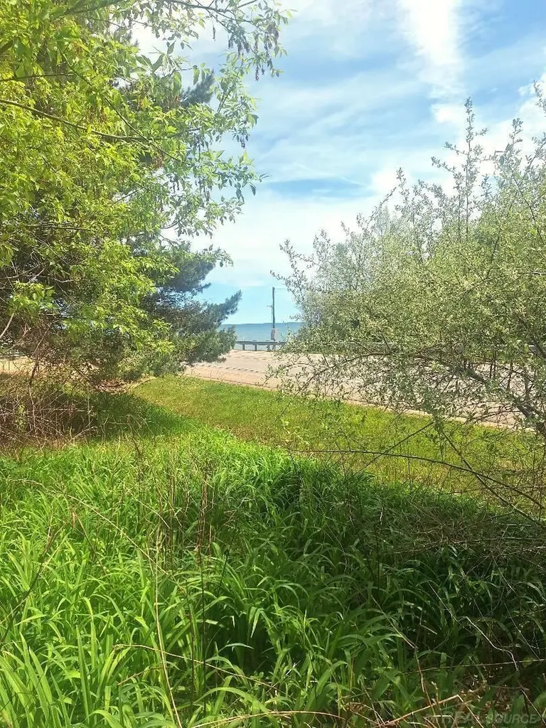 Parcel 2 Lakeshore Road Sanilac Township MI 48401