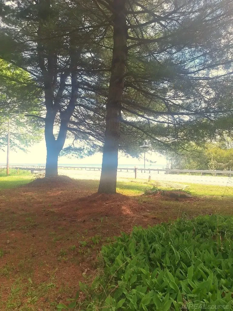 Parcel 2 Lakeshore Road Sanilac Township MI 48401