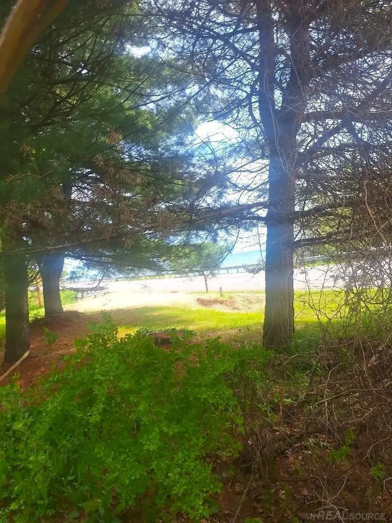 Parcel 2 Lakeshore Road Sanilac Township MI 48401