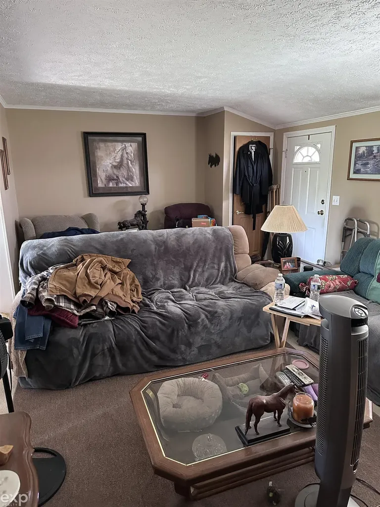 8787 Wildcat Road Grant Township MI 48032
