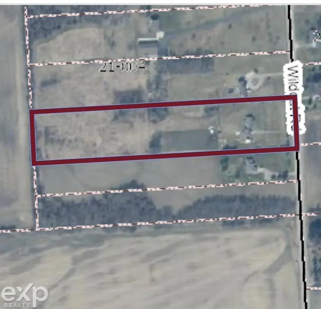 8787 Wildcat Road Grant Township MI 48032