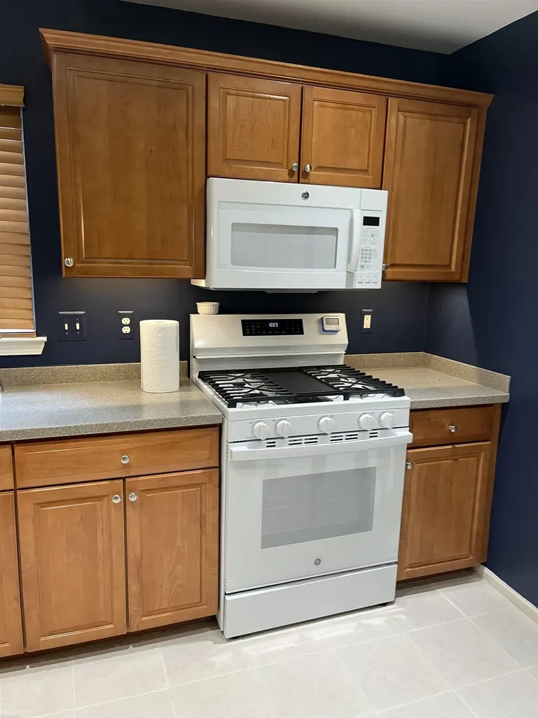 183 Four Seasons Road Lake Orion Village MI 48360