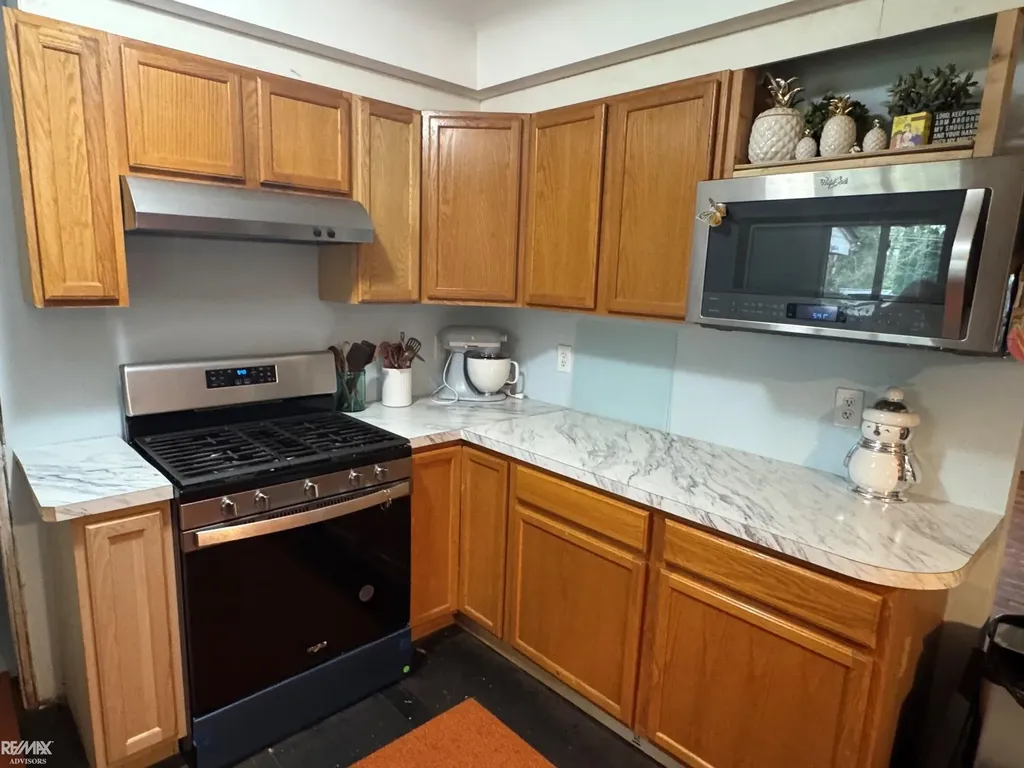 13346 Ledwon Street Shelby Charter Township MI 48315