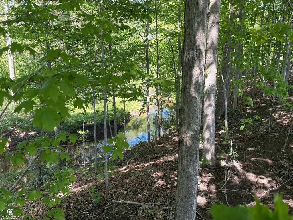 8872 Bryce Road Kenockee Township MI 48006