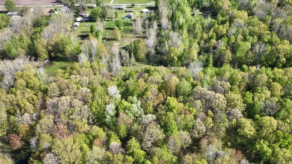 1546 E Birch Run Road Taymouth Township MI 48417