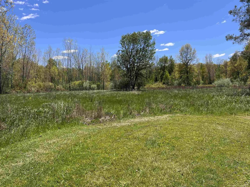 1546 E Birch Run Road Taymouth Township MI 48417