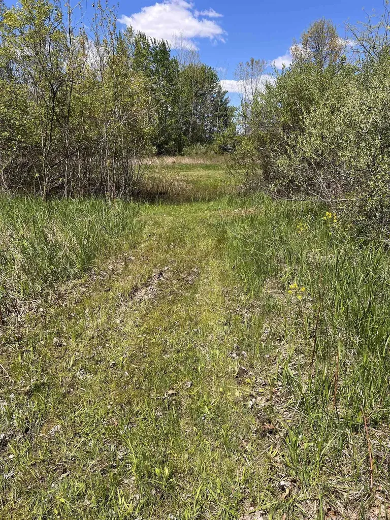 1546 E Birch Run Road Taymouth Township MI 48417
