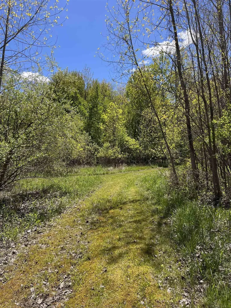 1546 E Birch Run Road Taymouth Township MI 48417