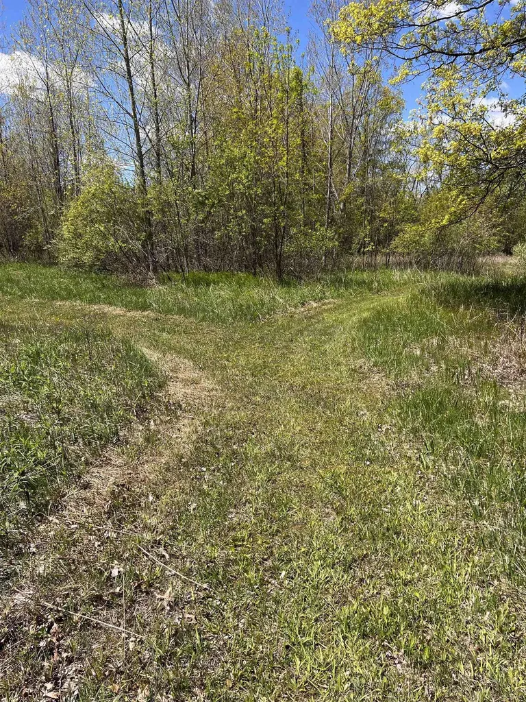1546 E Birch Run Road Taymouth Township MI 48417