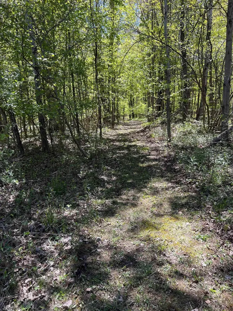 1546 E Birch Run Road Taymouth Township MI 48417