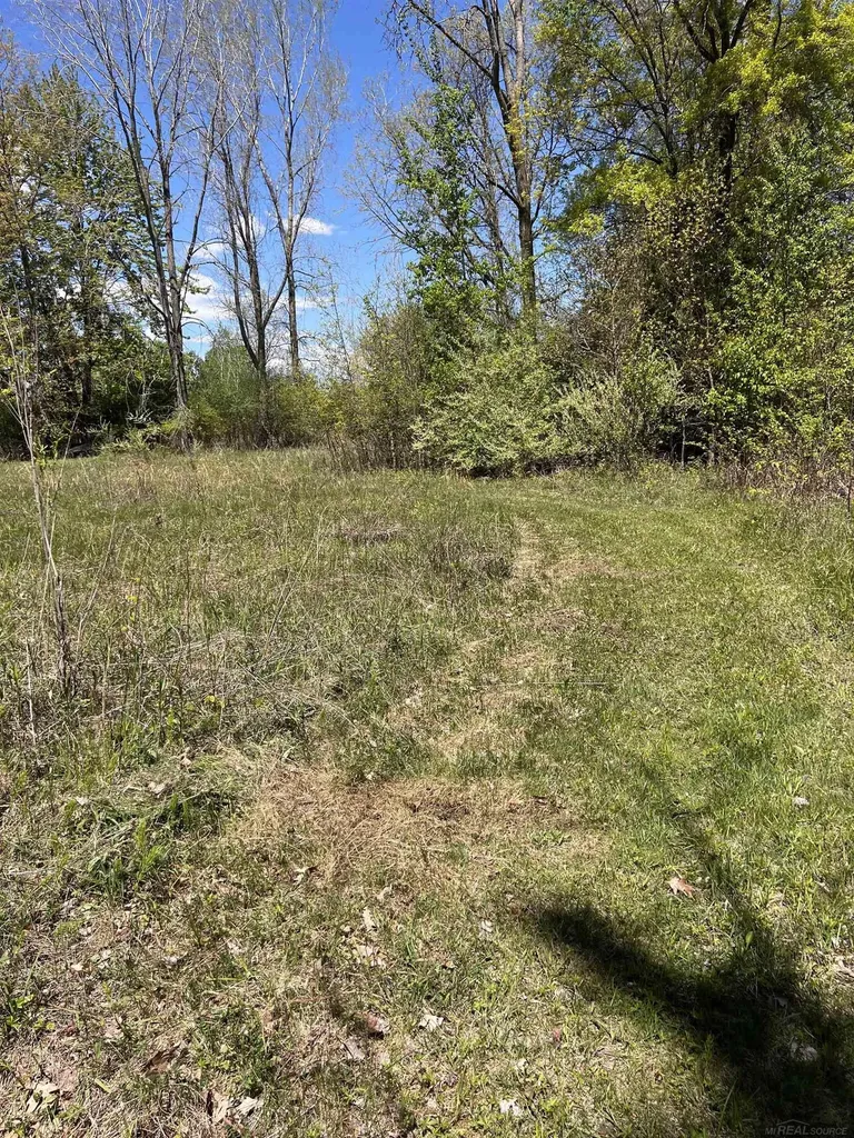 1546 E Birch Run Road Taymouth Township MI 48417