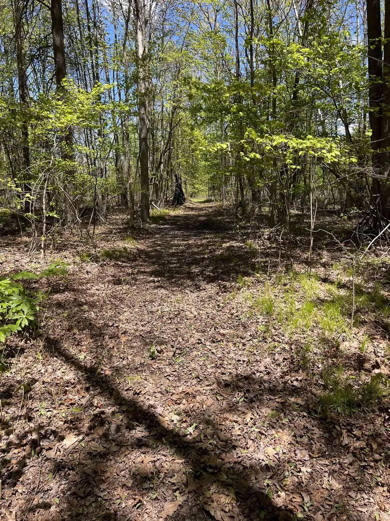1546 E Birch Run Road Taymouth Township MI 48417