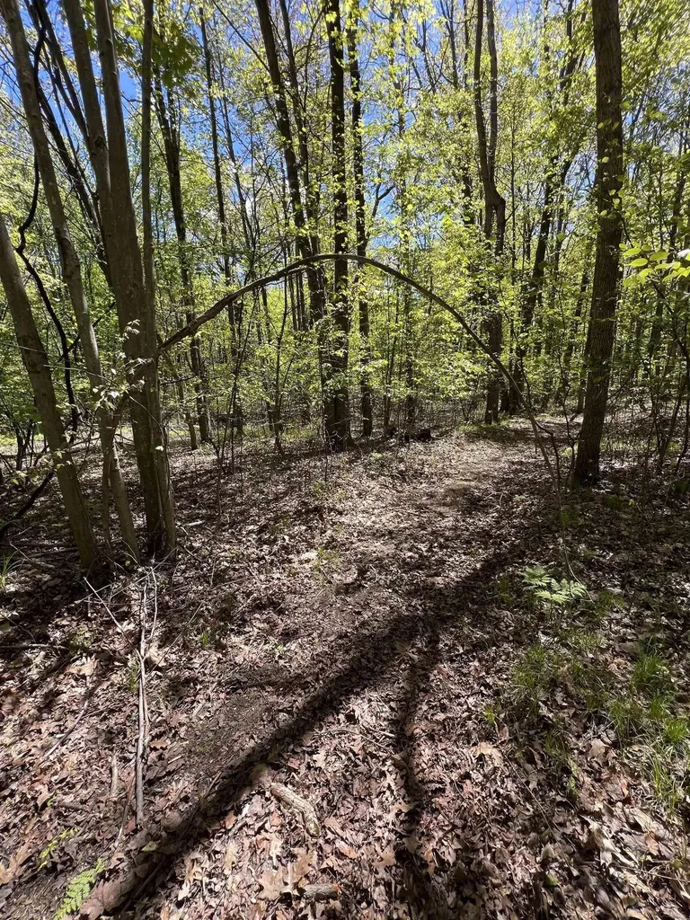 1546 E Birch Run Road Taymouth Township MI 48417