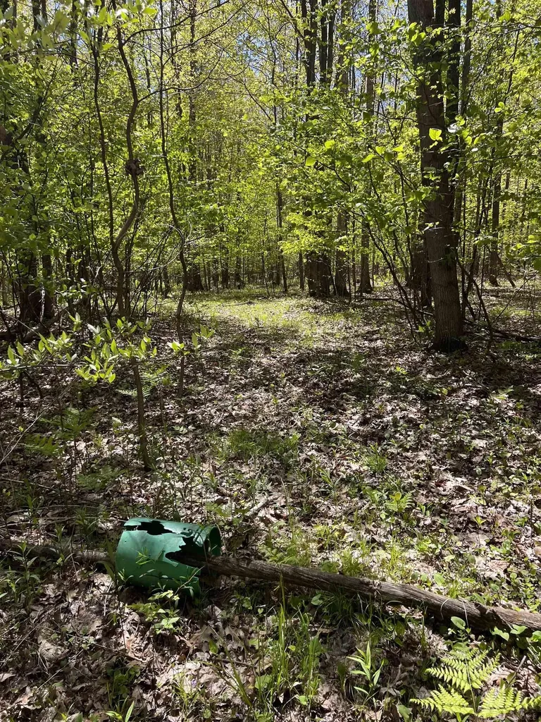 1546 E Birch Run Road Taymouth Township MI 48417