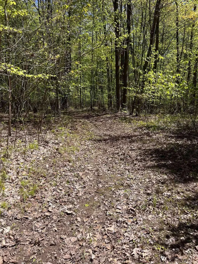 1546 E Birch Run Road Taymouth Township MI 48417