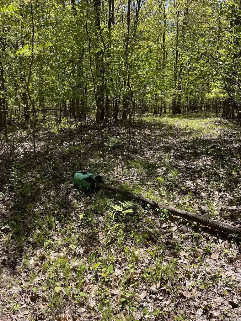 1546 E Birch Run Road Taymouth Township MI 48417