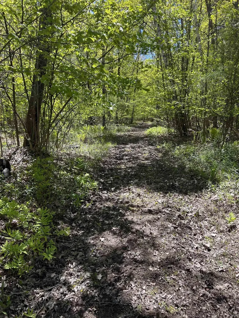 1546 E Birch Run Road Taymouth Township MI 48417