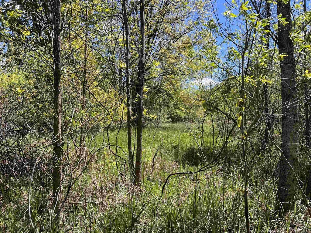 1546 E Birch Run Road Taymouth Township MI 48417