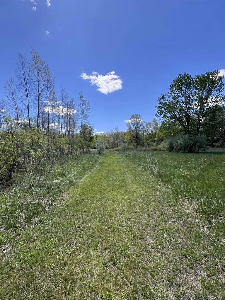 1546 E Birch Run Road Taymouth Township MI 48417