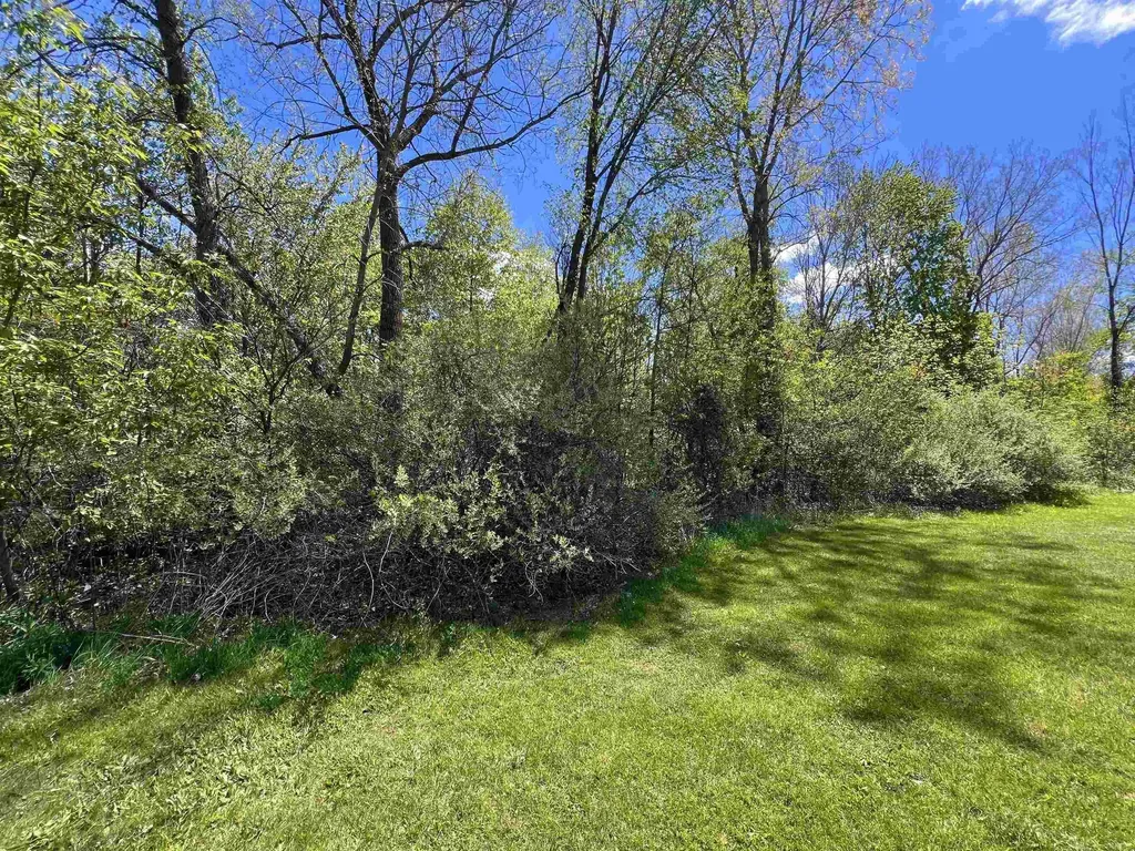 1546 E Birch Run Road Taymouth Township MI 48417