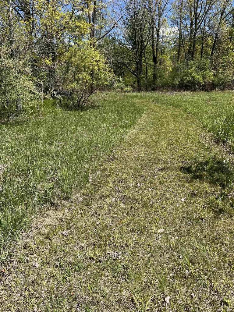 1546 E Birch Run Road Taymouth Township MI 48417