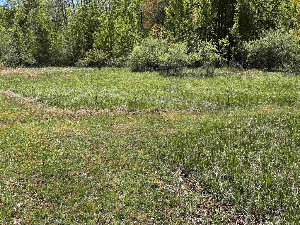 1546 E Birch Run Road Taymouth Township MI 48417