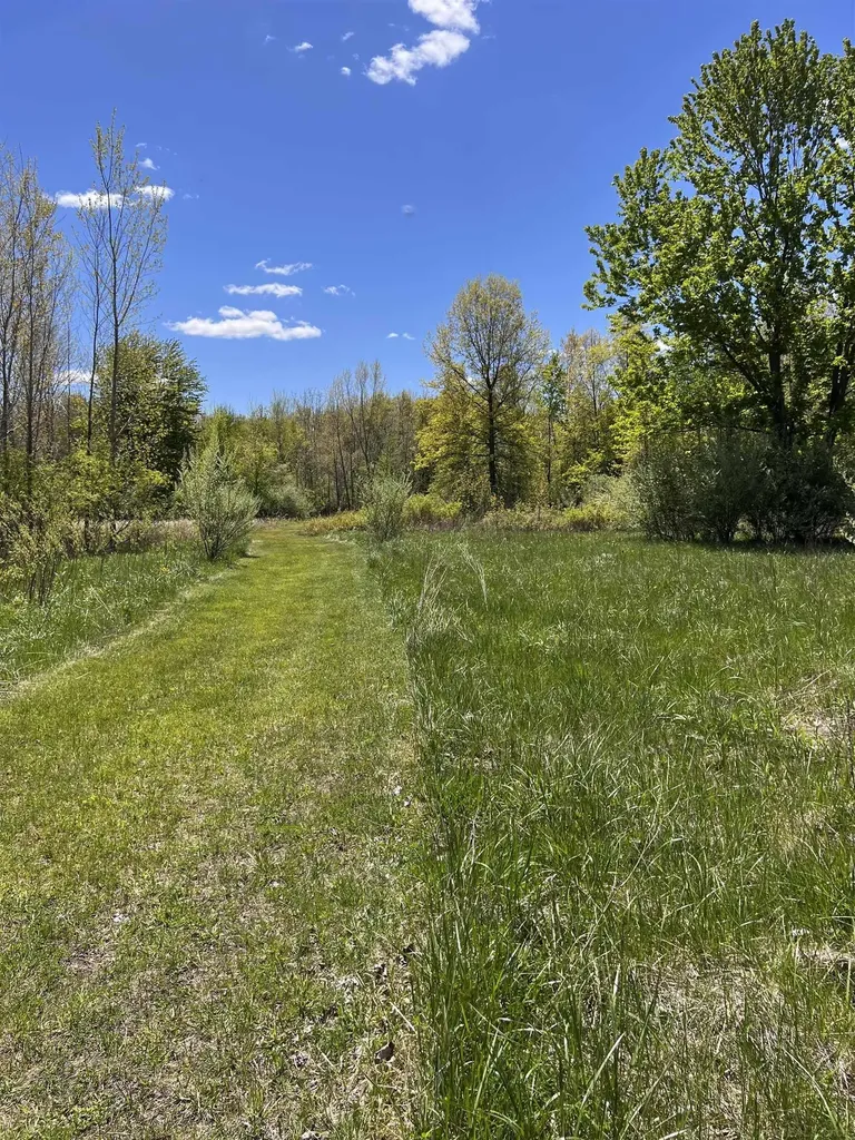 1546 E Birch Run Road Taymouth Township MI 48417