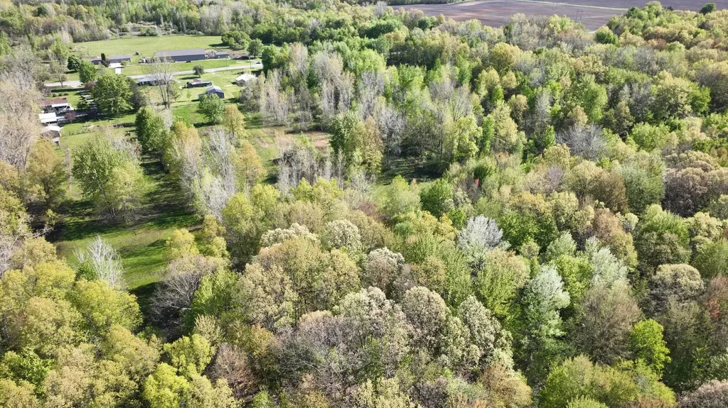 1546 E Birch Run Road Taymouth Township MI 48417