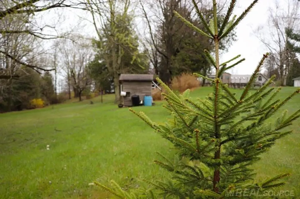1149 Lakeshore Road Sanilac Township MI 48469
