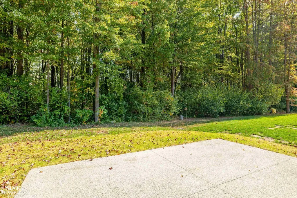 9279 Oakdale Street Clay Township MI 48001