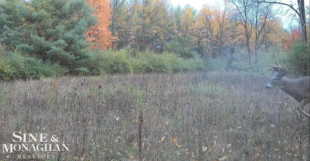 23093 30th Ave Avenue Fork Township MI 49679
