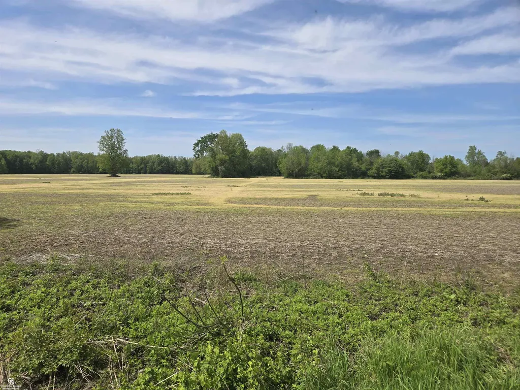 00 Bean Vl Lot E Road Kenockee Township MI 48006