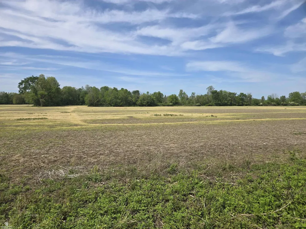00 Bean Vl Lot E Road Kenockee Township MI 48006