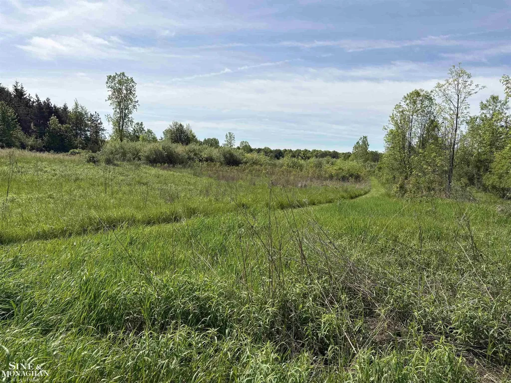 6281 Lindsey Road China Township MI 48054